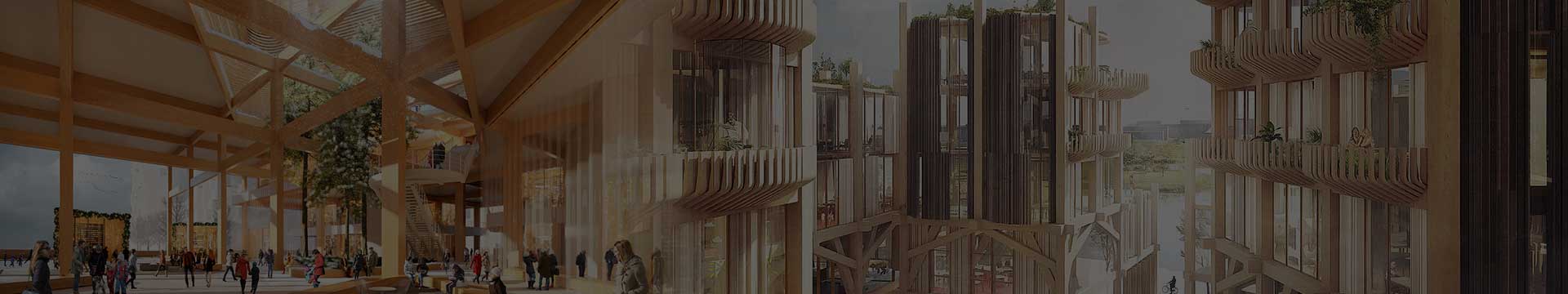 Mass Timber Architectural Building